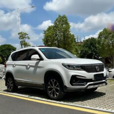 JOYEAR X5 2017 1.6L Manual