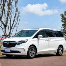 Buick GL8 2022 ES Lu Zun 2.0T